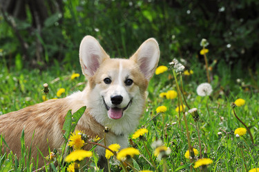 Similar image 21538492