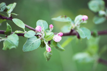 Similar image 21538494