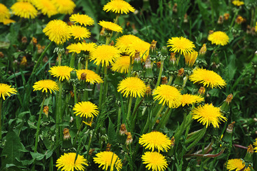 Similar image 21538495