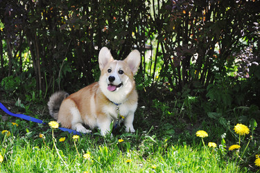 Similar image 21538496