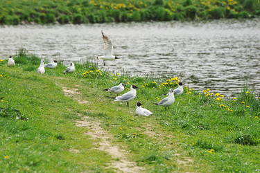 Similar image 21538504