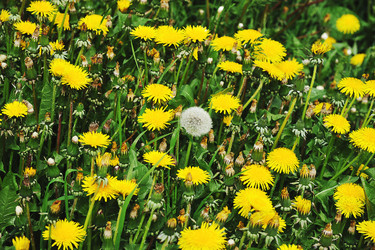 Similar image 21538506