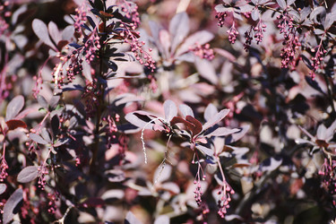 Similar image 21538507