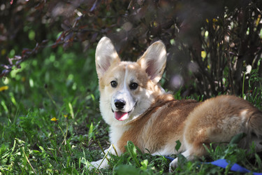 Similar image 21538508