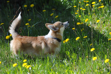 Similar image 21538944