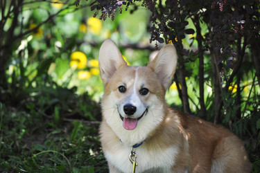 Similar image 21538950