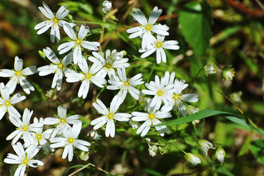 Similar image 21538965