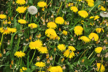 Similar image 21538966