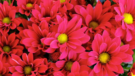 Similar image 21545128