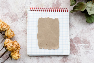 Similar image 21545553