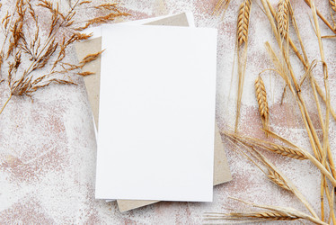 Similar image 21545556