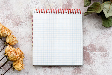 Similar image 21541169