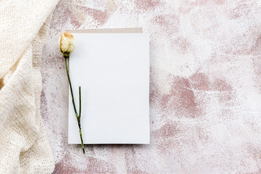 Similar image 21541172