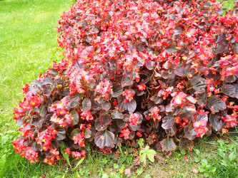 Similar image 21538629