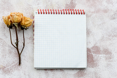 Similar image 21546081