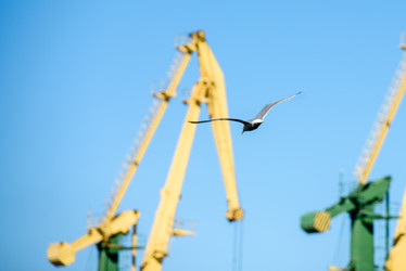 Similar image 21540100