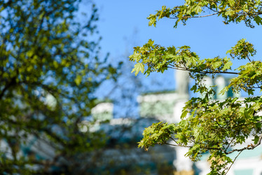 Similar image 21544885