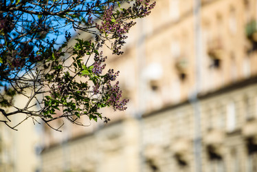 Similar image 21540305