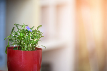 Similar image 21540706