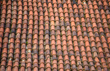 Similar image 21541206