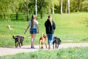 Similar image 21546343