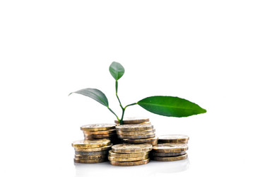 Similar image 21540721