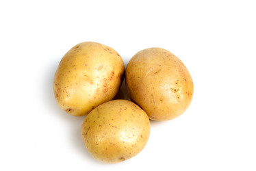 Similar image 21541945