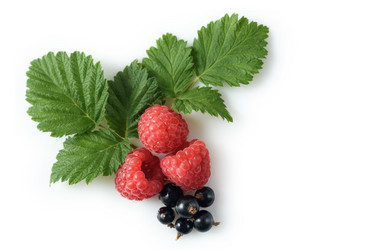 Similar image 21541946