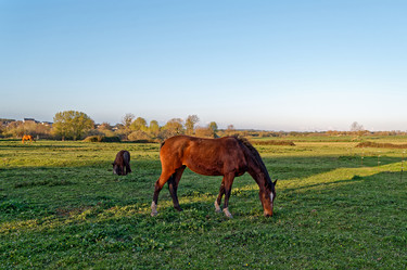 Similar image 21539365