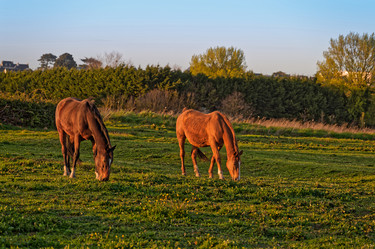 Similar image 21539366