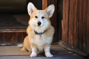 Similar image 21538990