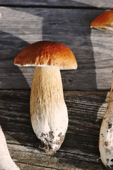 Similar image 21538999