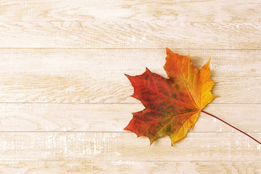 Similar image 21539001