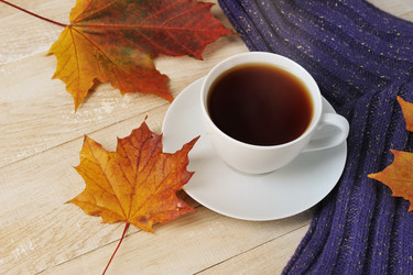 Similar image 21539003