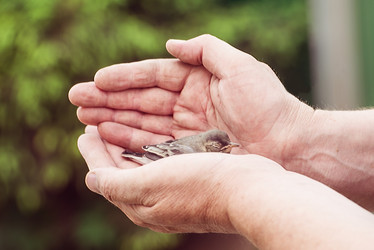 Similar image 21540330