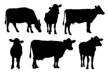 Similar image 21539020