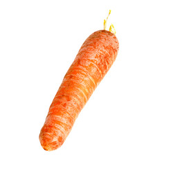 Similar image 21546102