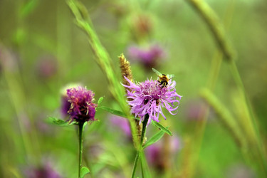 Similar image 21546348