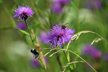 Similar image 21546354