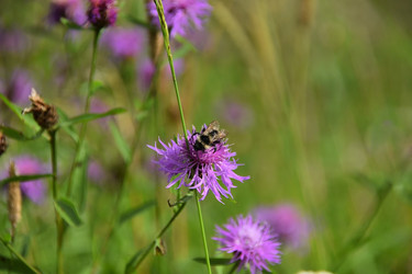 Similar image 21546360