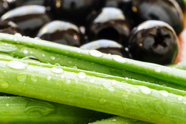 Similar image 21545370