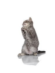 Similar image 21541672