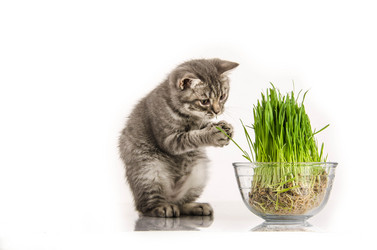 Similar image 21546109