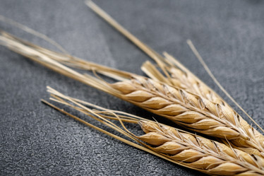 Similar image 21546375