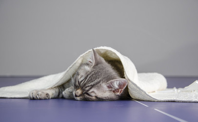 Similar image 21546952