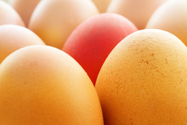 Similar image 21544926