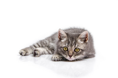 Similar image 21540141