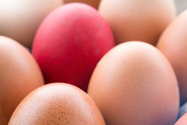 Similar image 21544928