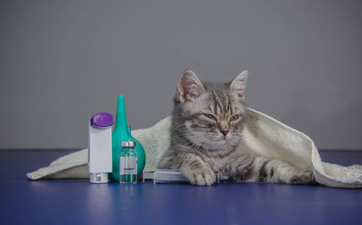 Similar image 21540342