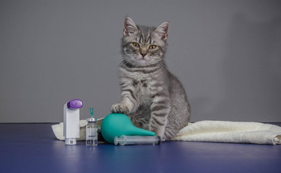 Similar image 21540344